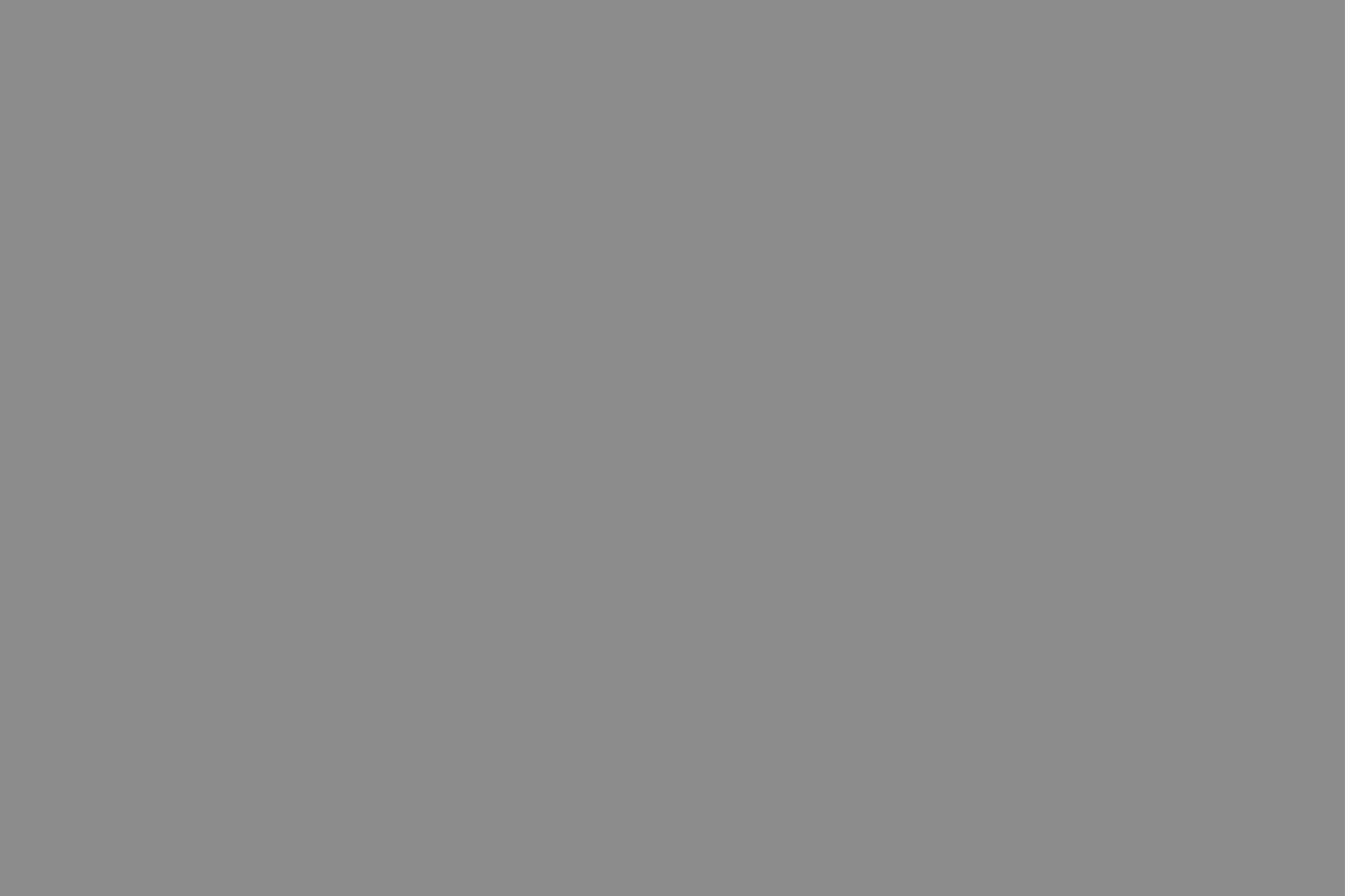 Кресло эргономичное Expert Ergo FLY-HB H02W 5D GRAY - фото товара 10 из 10
