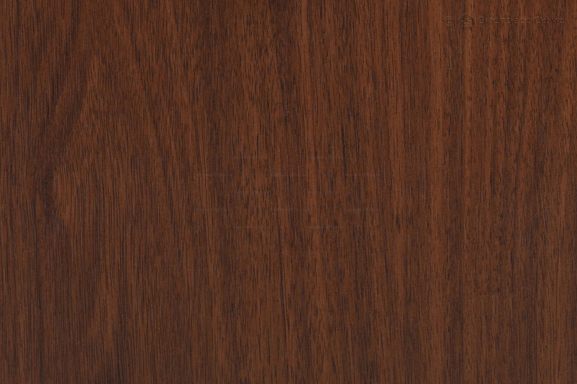  Вешалка В 4Н 909 Средне-коричневый - фото товара 3 из 3