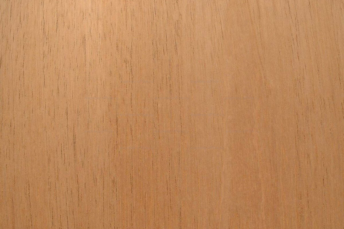 Стул обеденный Cindy (Eames) (mod. 1801) - фото товара 9 из 10